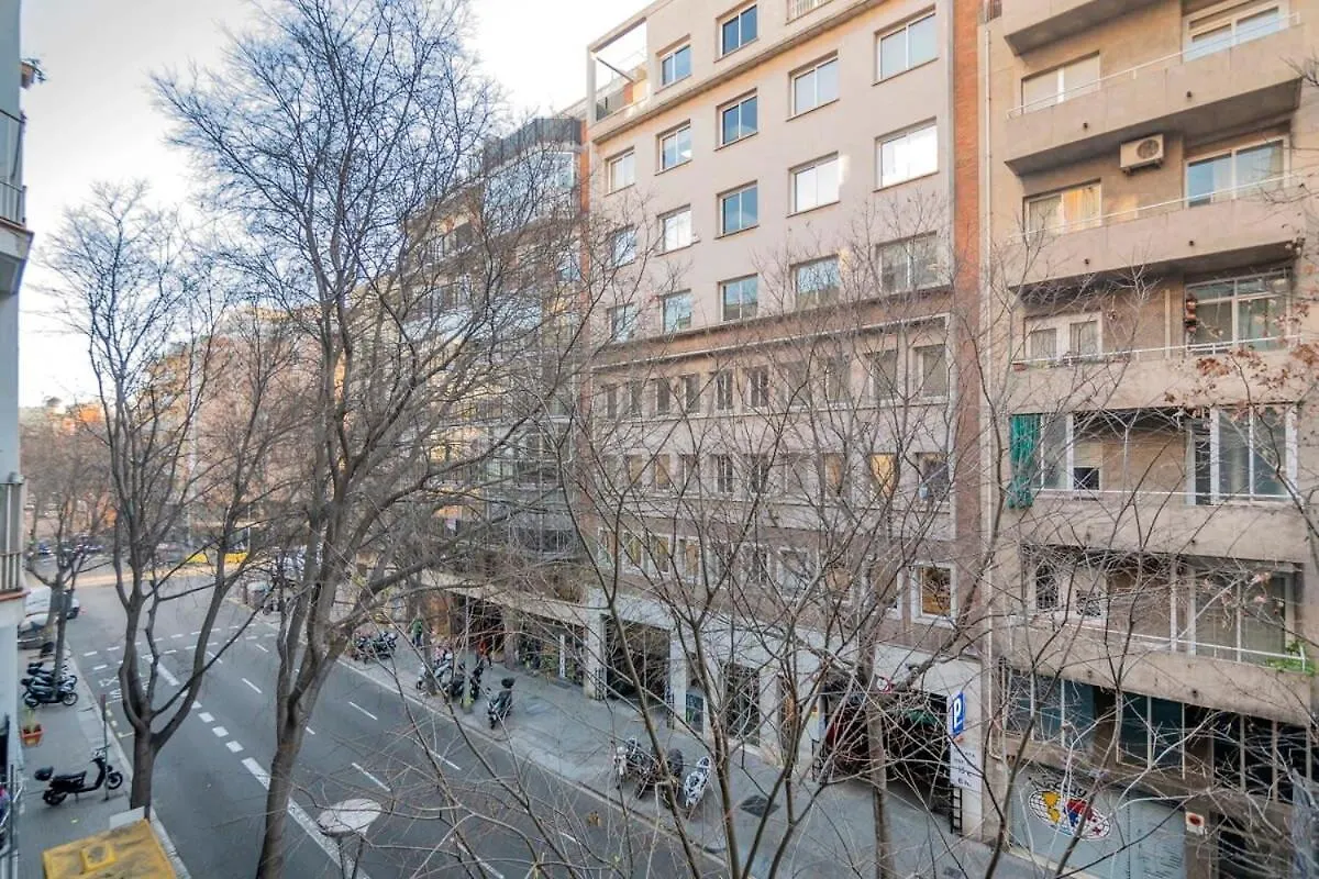 Modern And Bright Apartment In Eixample 2-2 バルセロナ