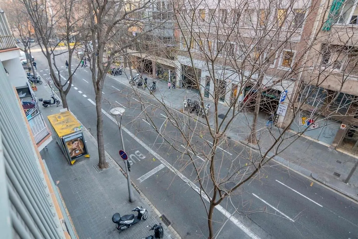 Modern And Bright Apartment In Eixample 2-2 バルセロナ